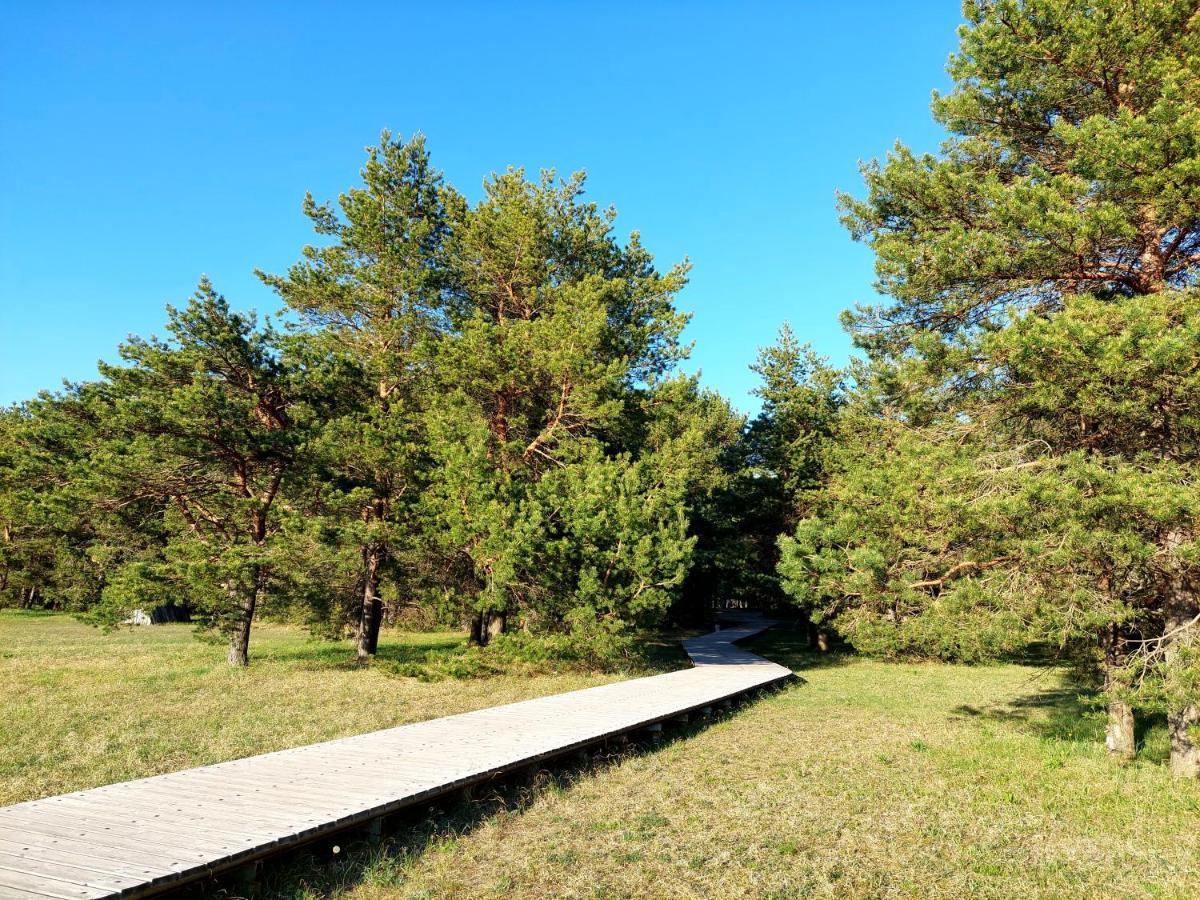 Juras Dzintars Villa Ainaži Екстериор снимка